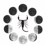 Your Weekly Horoscopes 11/14 – 11/20