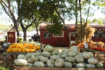 Parkhurst Ranch & Pumpkin Patch Opens for the Fall Season