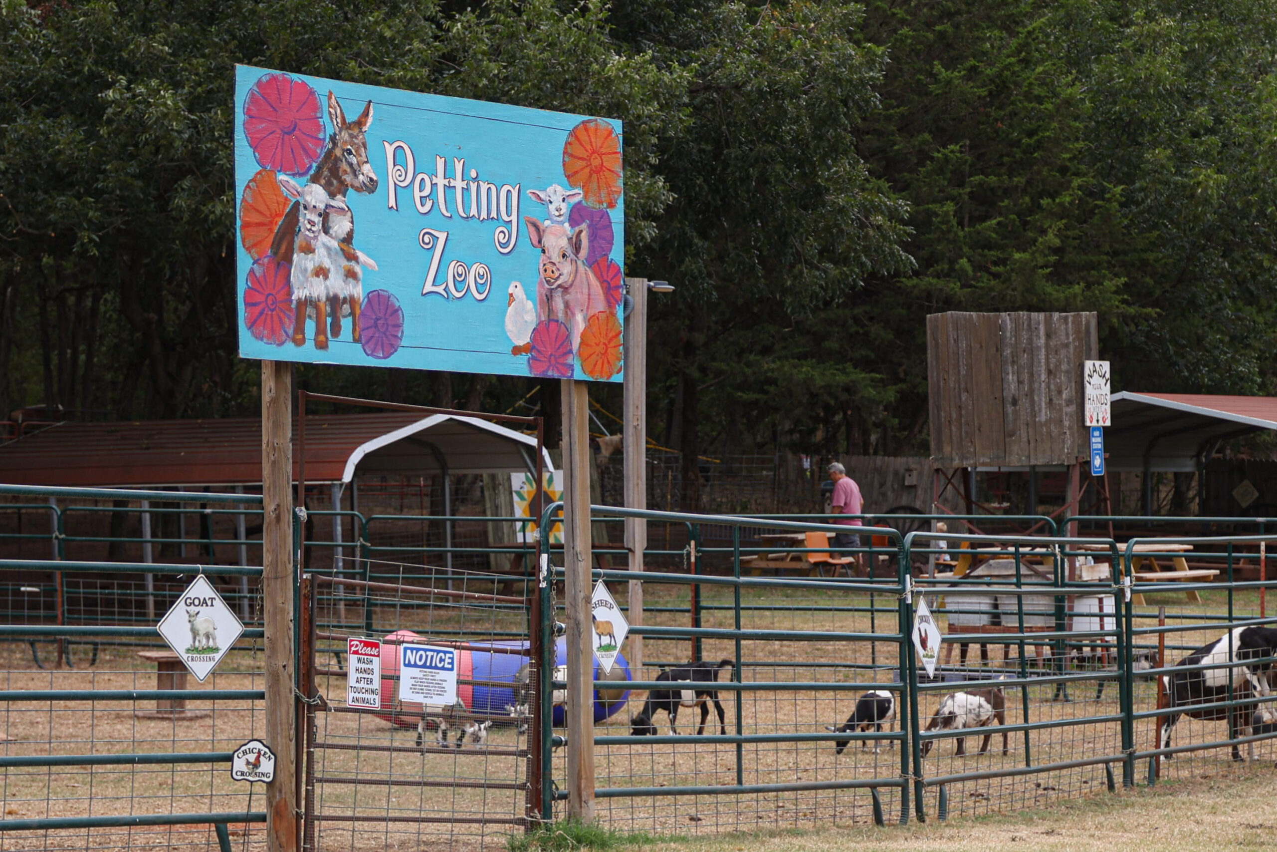 A view of the Petting Zoo. (Emily Lavarn/The Vista)
