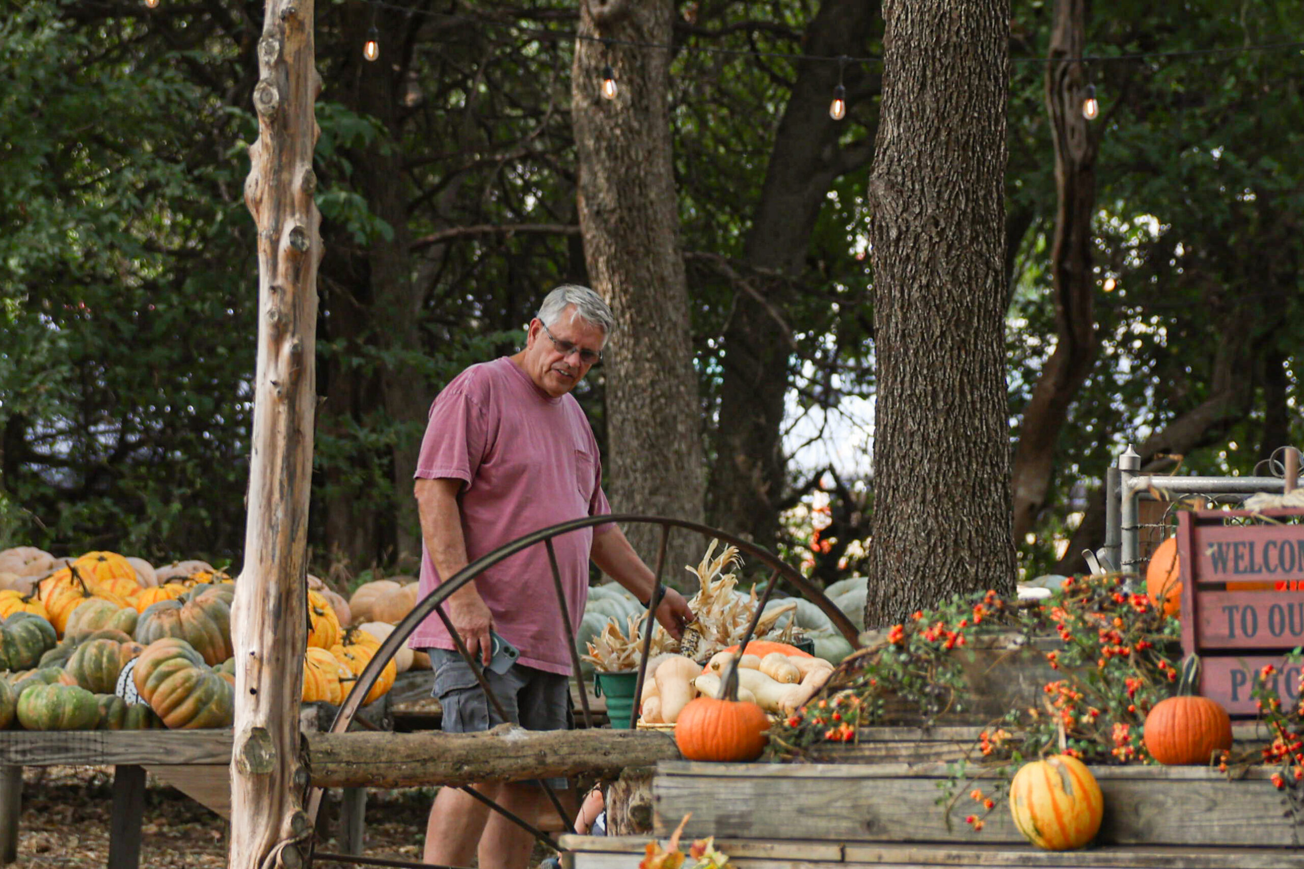 A man looking through different pumpkins. (Emily Lavarn/The Vista)