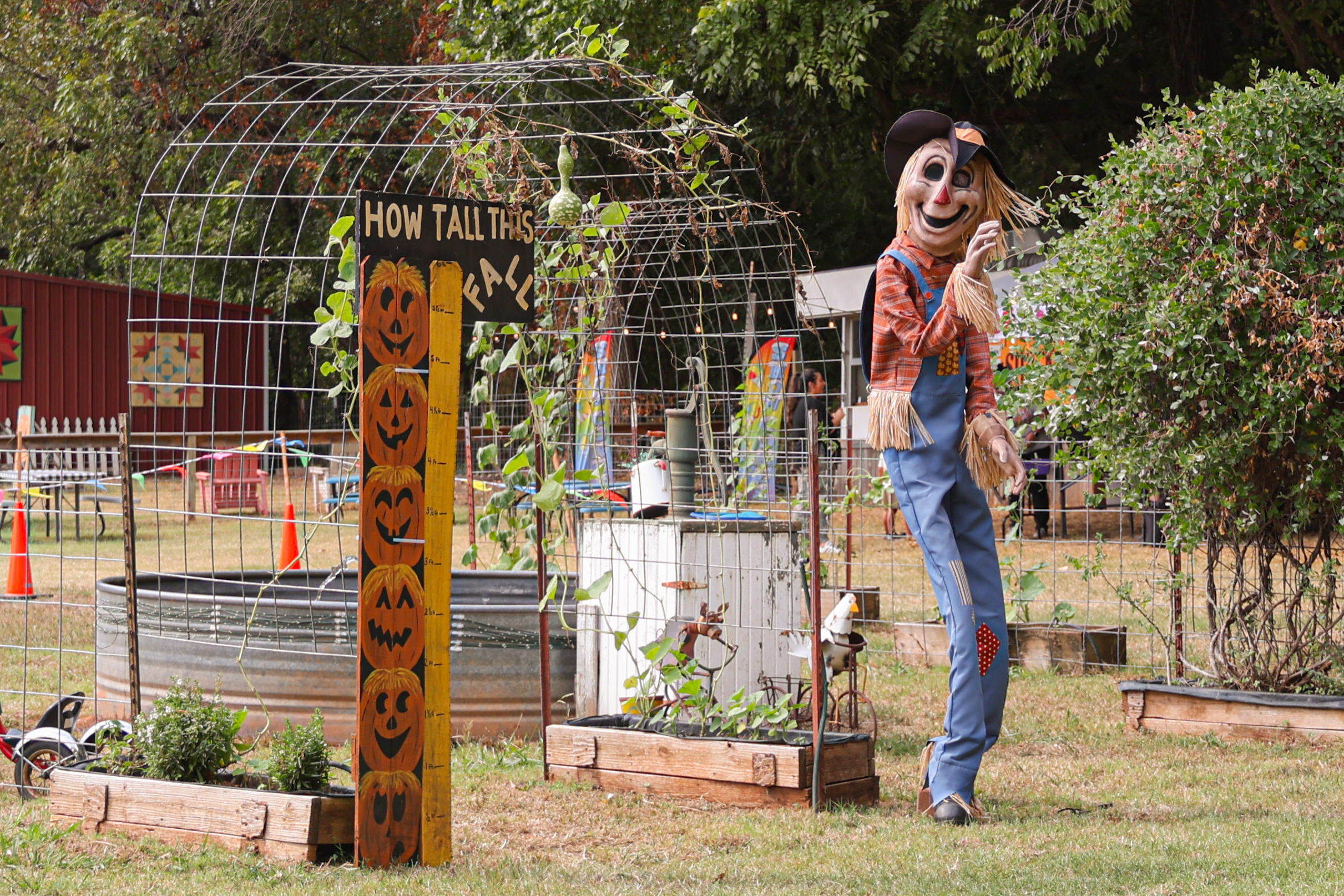 Display of “How Tall This Fall” for visitors. (Emily Lavarn/The Vista)