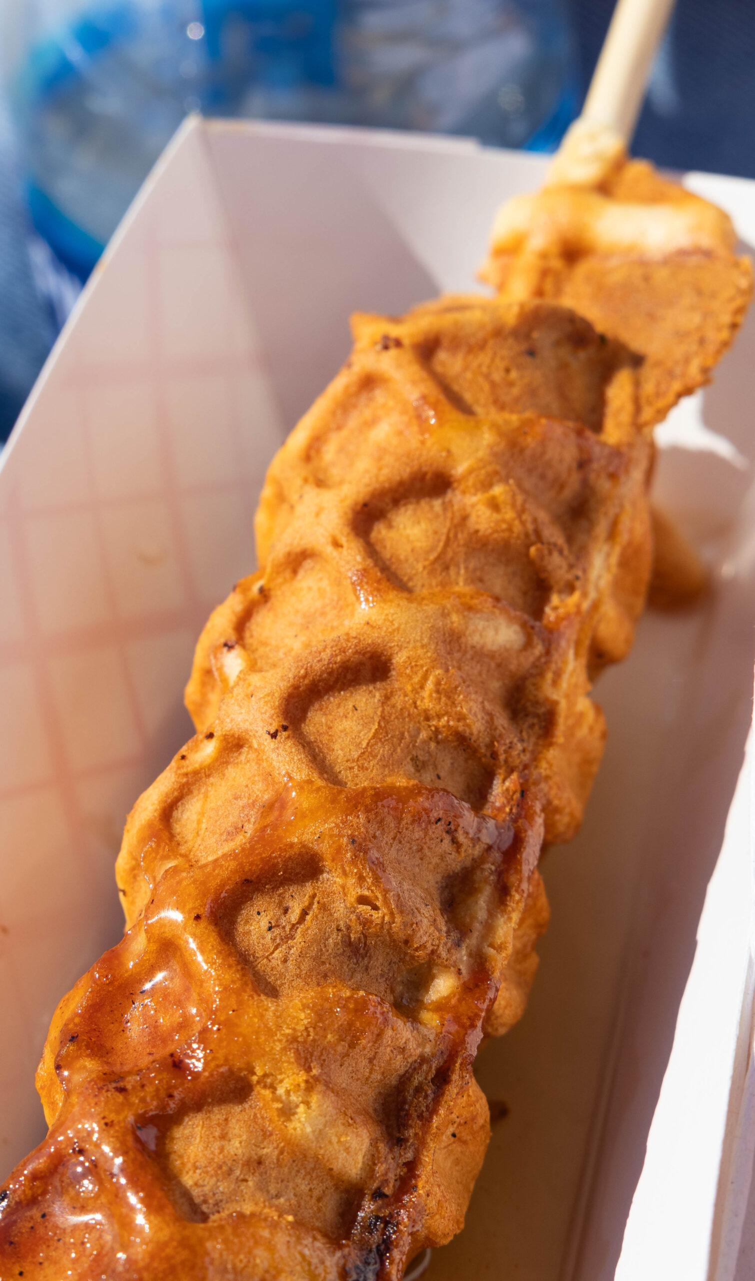 Chicken in a waffle from Waffle Chix (Maycee Elerick/The Vista)