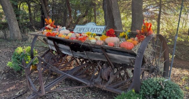 Entrance to Parkhurst Pumpkin Patch. Different colored pumpkins near the pumpkin patch.
