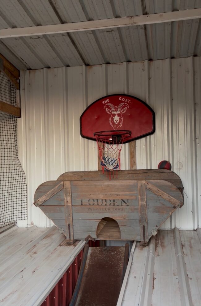 Basketball Net