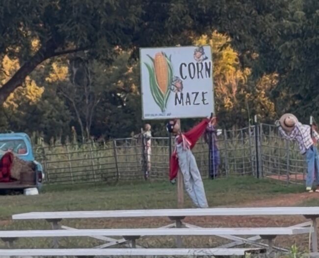 Corn Maze Sign